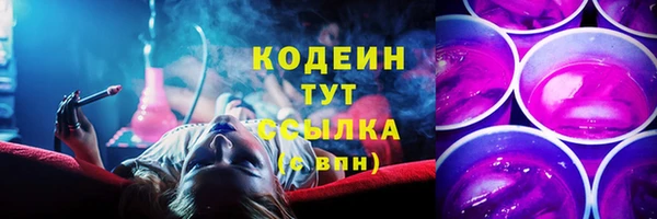 дурь Алексин