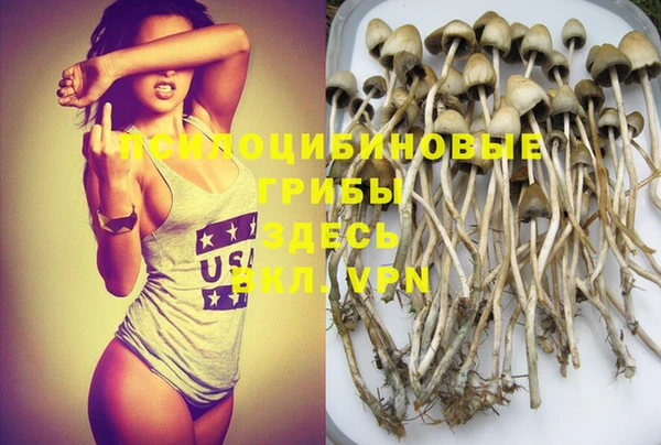 дурь Алексин