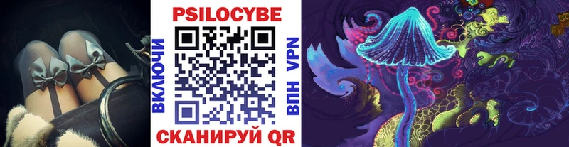 Галлюциногенные грибы Cubensis  купить   Калтан 